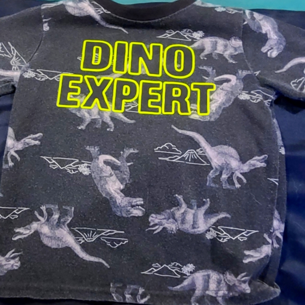 Toddler Shirt